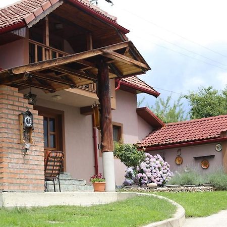 Casa Darius Villa Novaci-Străini Dış mekan fotoğraf