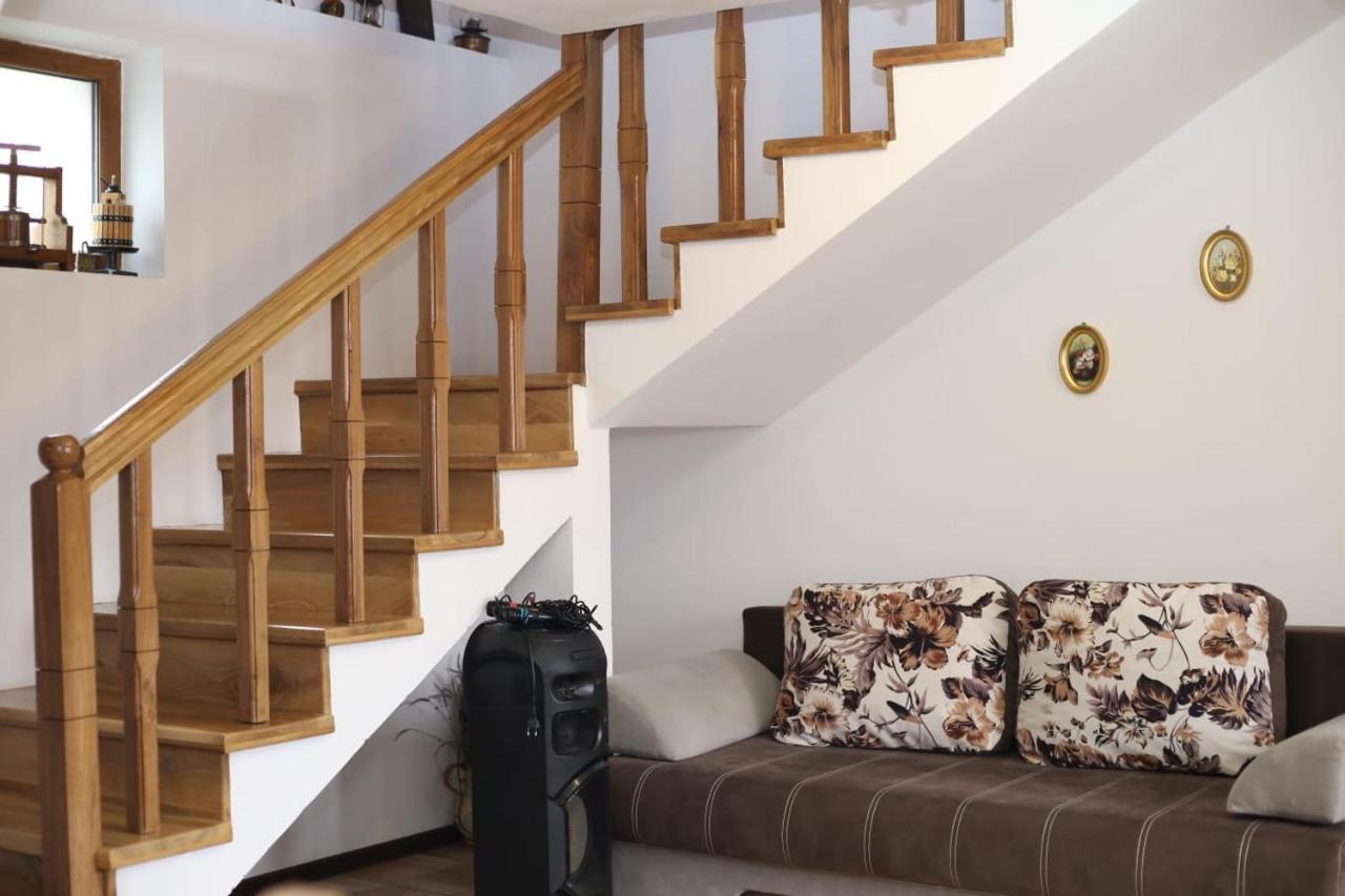 Casa Darius Villa Novaci-Străini Dış mekan fotoğraf