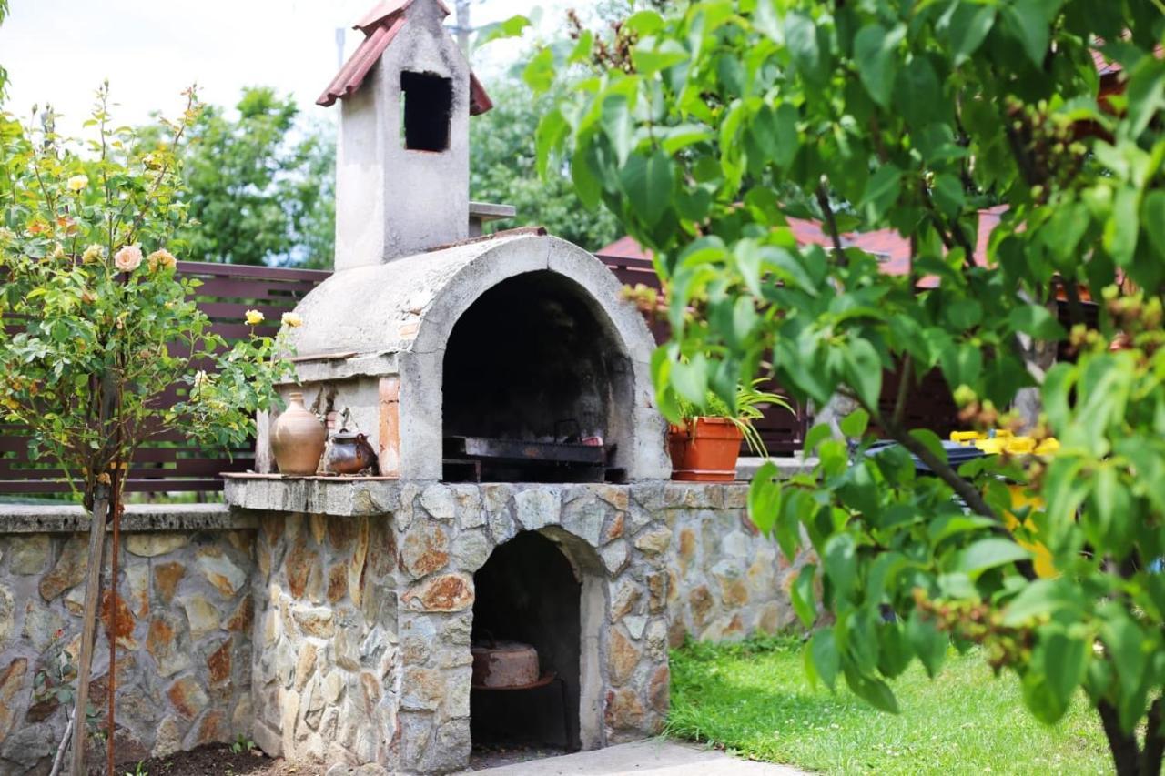 Casa Darius Villa Novaci-Străini Dış mekan fotoğraf