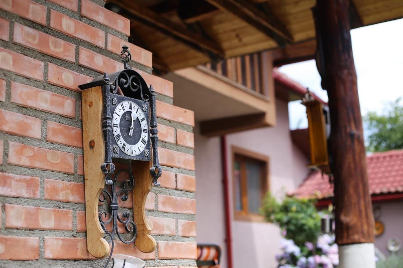 Casa Darius Villa Novaci-Străini Dış mekan fotoğraf