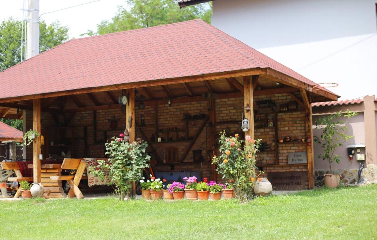 Casa Darius Villa Novaci-Străini Dış mekan fotoğraf