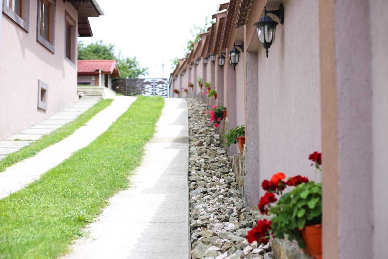 Casa Darius Villa Novaci-Străini Dış mekan fotoğraf