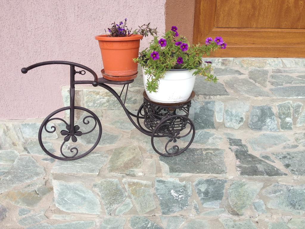 Casa Darius Villa Novaci-Străini Dış mekan fotoğraf