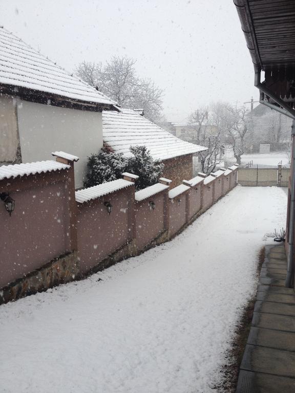 Casa Darius Villa Novaci-Străini Dış mekan fotoğraf