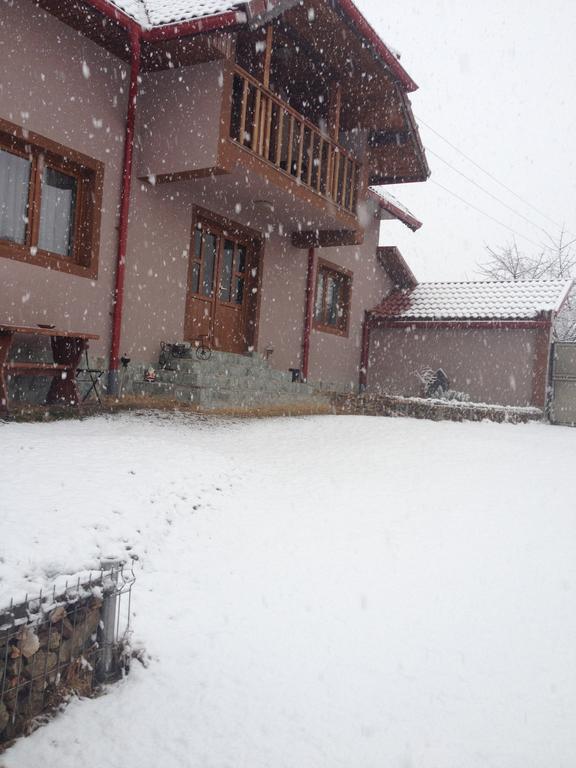Casa Darius Villa Novaci-Străini Dış mekan fotoğraf